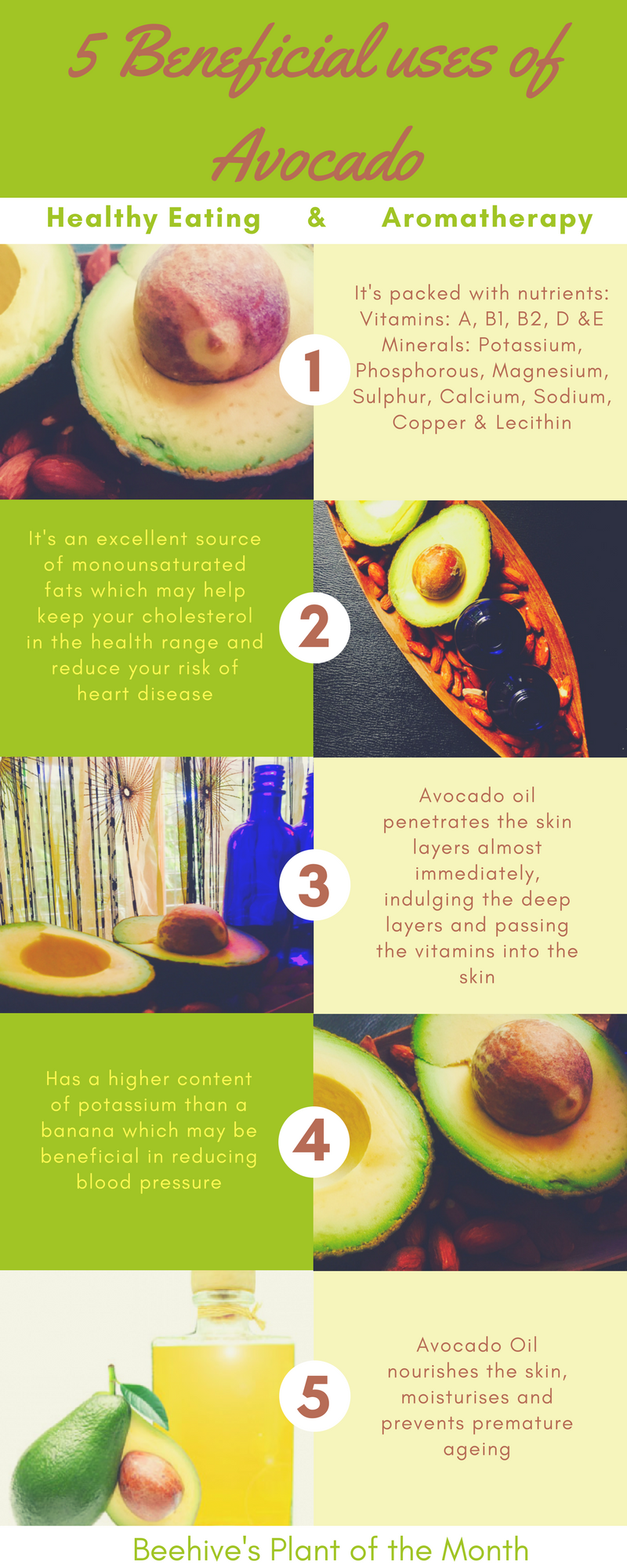 5 benefits of using avocado oil in aromatherapy and healty eating