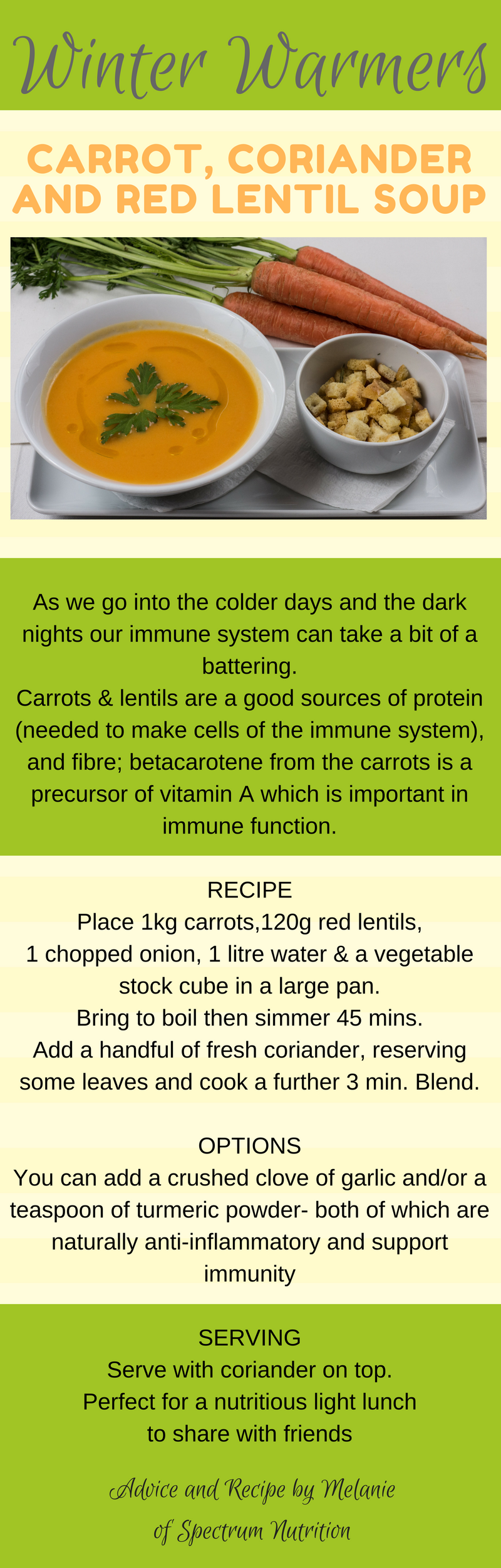 Carrot coriander and lentil soup recipe infographic